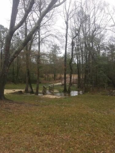 Whispering Creek Lodging & Rv Resort 2