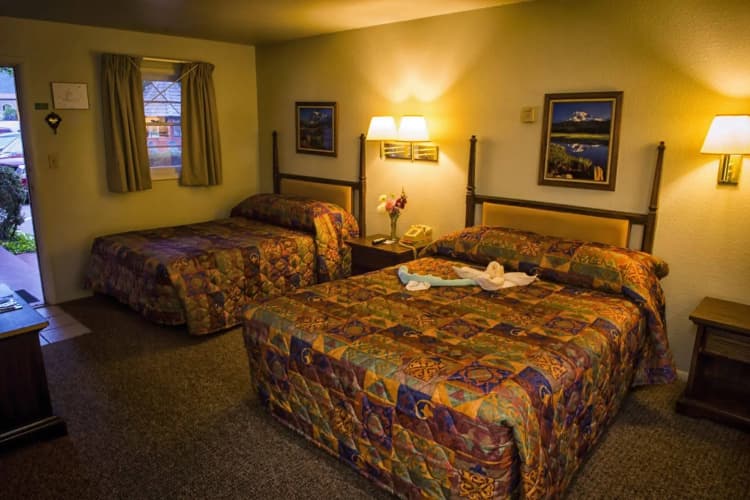 Siesta Motel 4