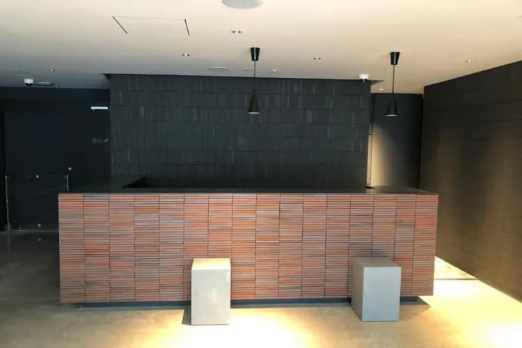 Lof Hotel Shimbashi 2
