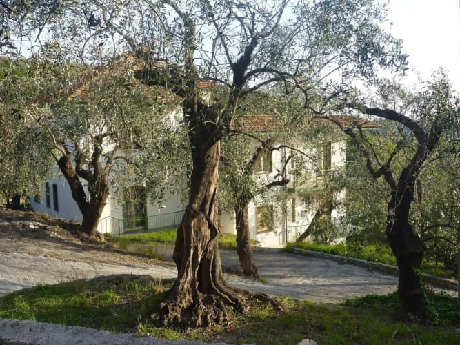 Villaggio Rta Borgoverde main