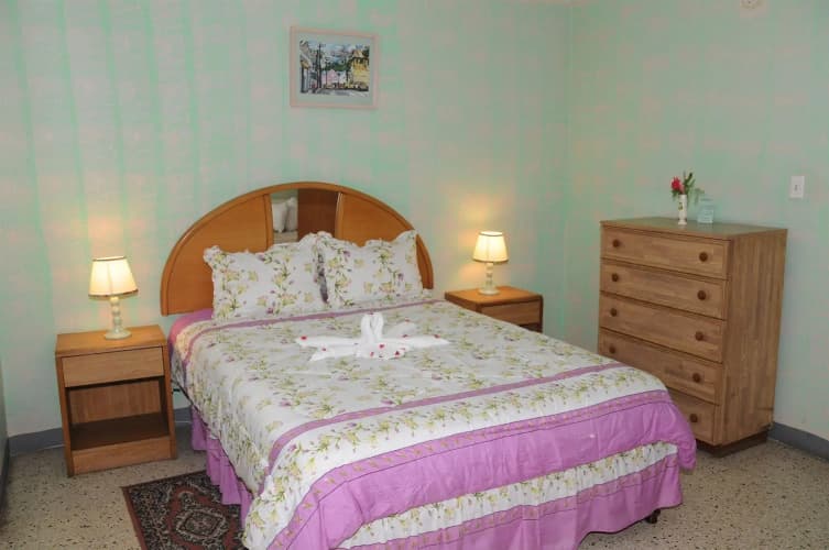 Palm View Guesthouse And Conference Centre 3