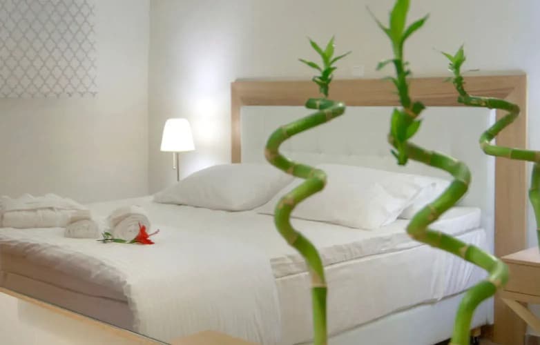 Blue Horizon Suites 5