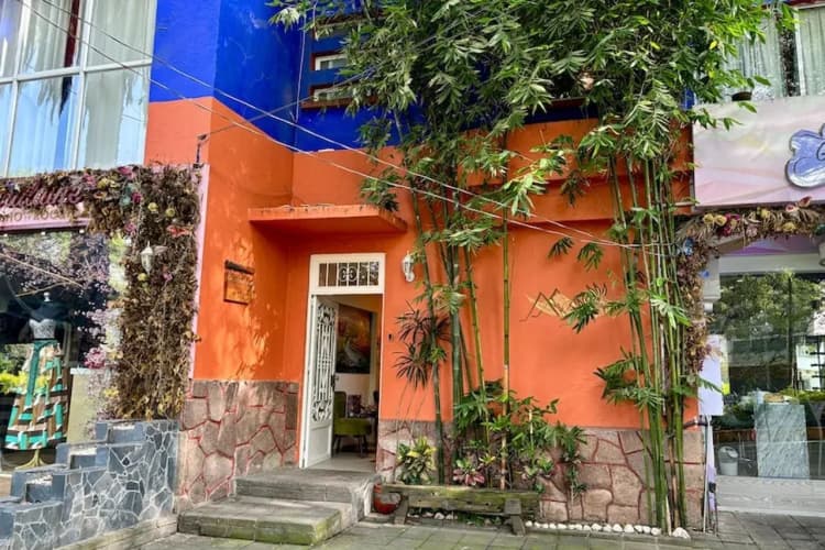 Collection O Casa Anzures Thematic, Mexico City 2