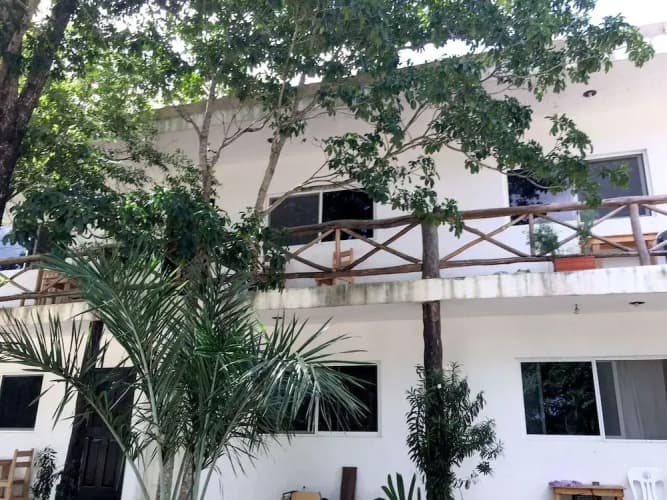 Cenote Casa Tortuga Tulum main