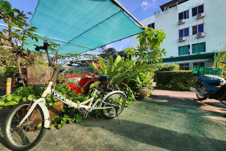Green Apartment 3
