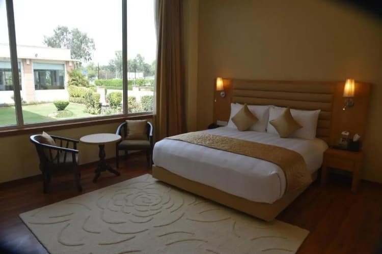 Opulent By Udman Chattarpur 5