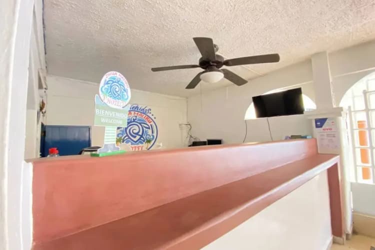 OYO Hotel Zihuatanejo Malibu 3