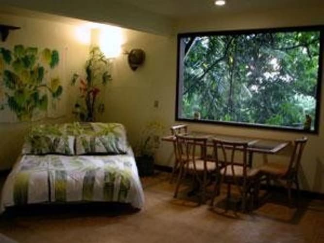 Dragonfly Ranch 4