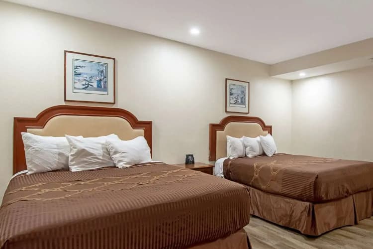 Rodeway Inn Near Maingate Knotts 4