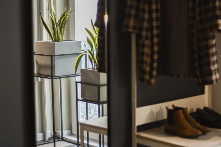 room007 Select Liberdade 3