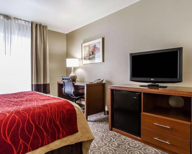 Comfort Inn Brunswick - Freeport 5