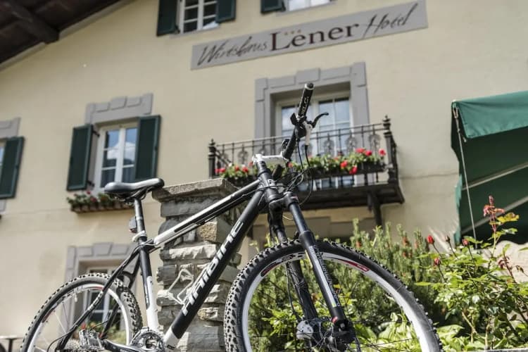Wirtshaus & Hotel Lener main