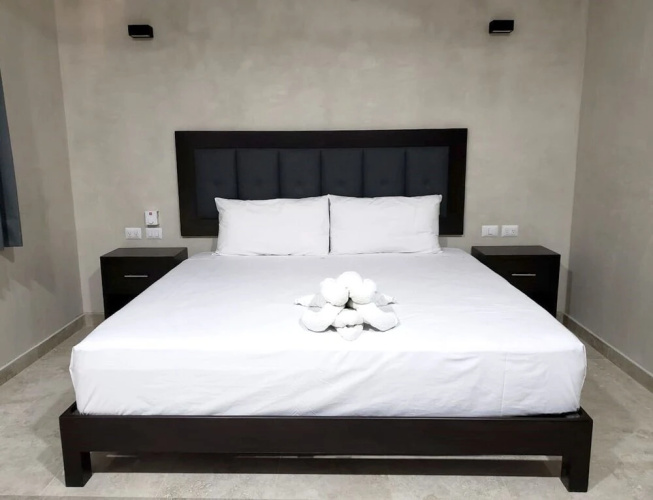 Cenote Casa Tortuga Tulum 3