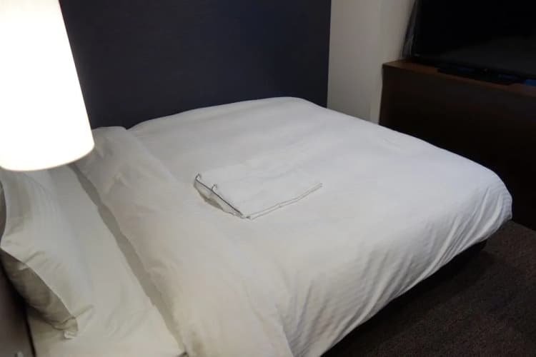 Hotel Wing International Premium Osaka Shinsekai 3