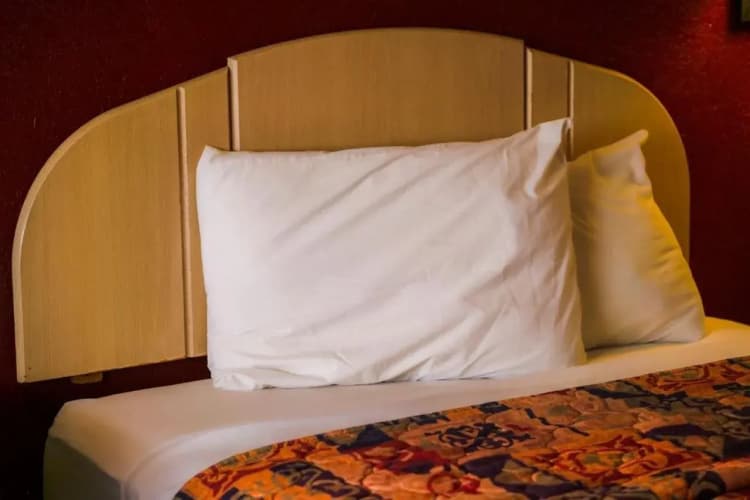 Regency Inn By Oyo Three Rivers 4