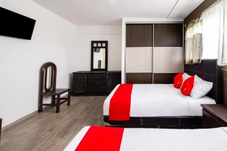 Oyo Hotel Halley 3