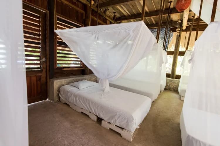 Cabanas Hostel y Camping Magic Bacalar 2