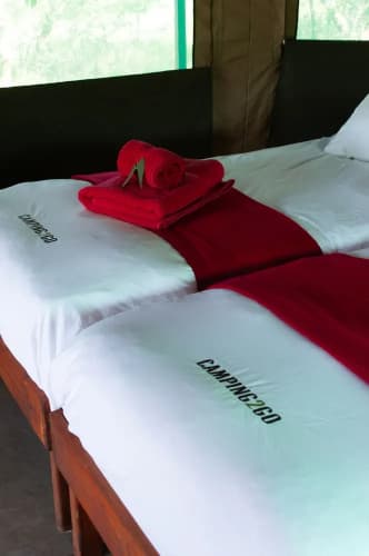 Etosha Safari Camping2go 5