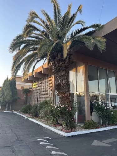 Royal Motel Tracy Llc main