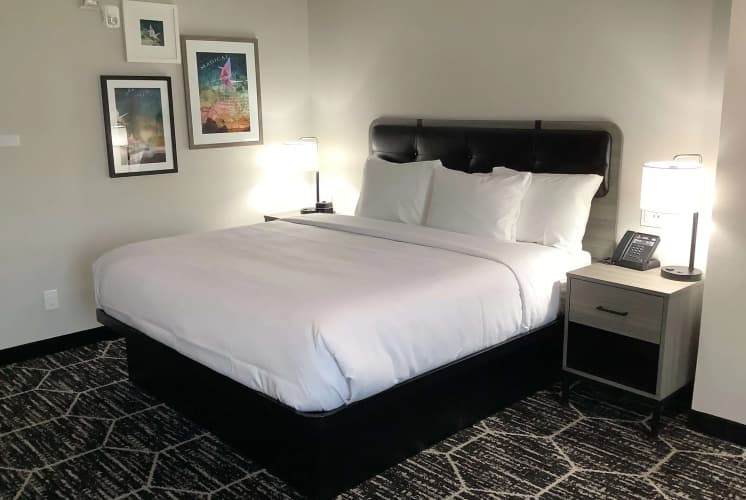 La Quinta Inn & Suites by Wyndham Corpus Christi Southeast 5