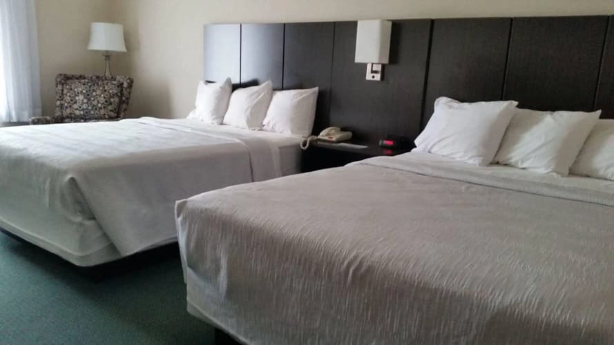Gold Vault Inn 3