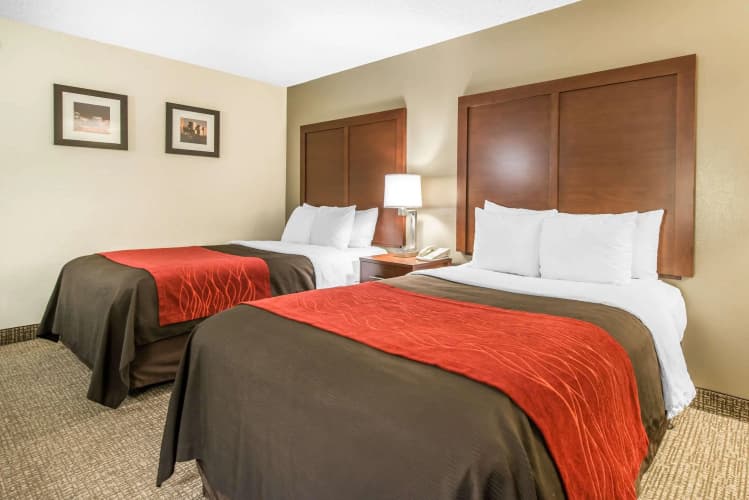 Comfort Inn & Suites Stapleton 5