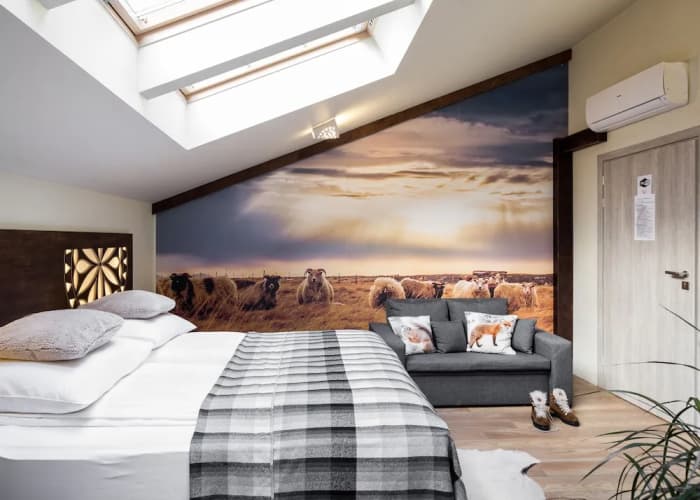 Apartamenty Folk & Art 5