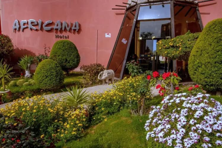 Africana Hotel Borg El Arab main