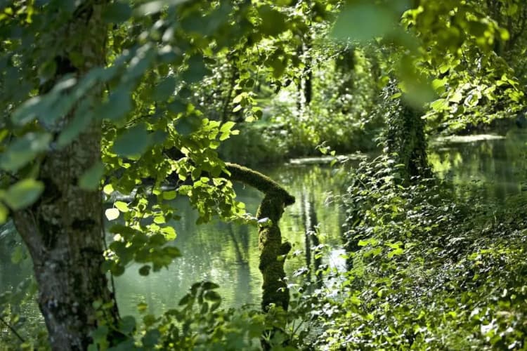 Manoir d'Hautegente 4