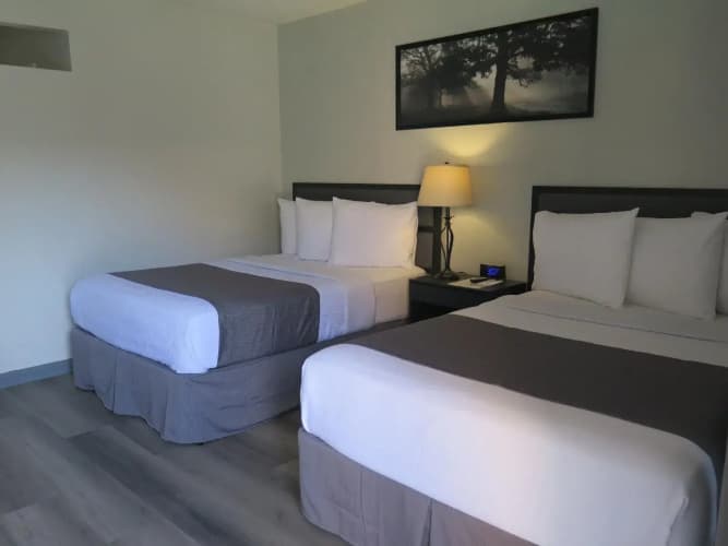 Dtla Hotel 5