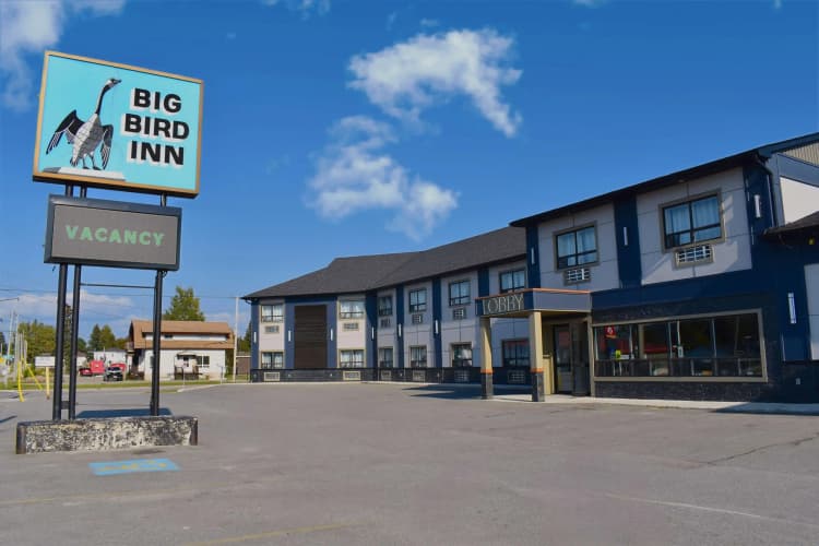 Big Bird Inn Wawa, SureStay Collection by Best Western 2