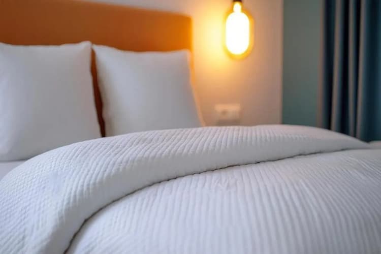 Best Western Plus Neepawa Hotel 5
