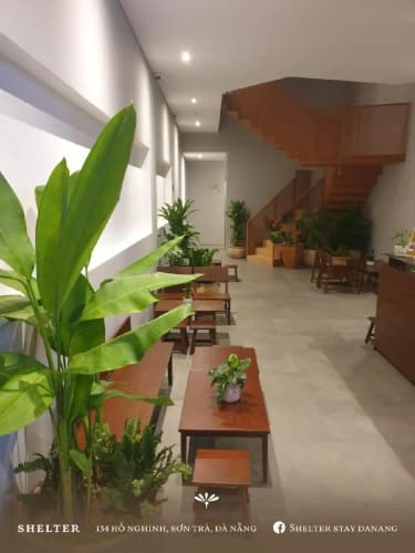 Shelter Stay Da Nang 5