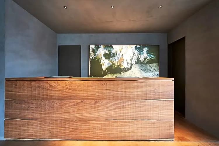The Reign Hotel Kyoto 2
