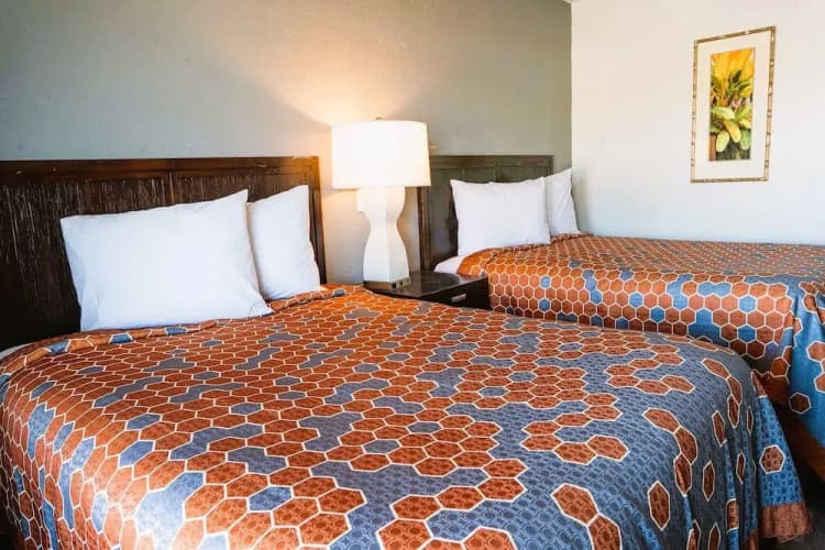 Oyo Hotel Ocala, Fl I-75 5