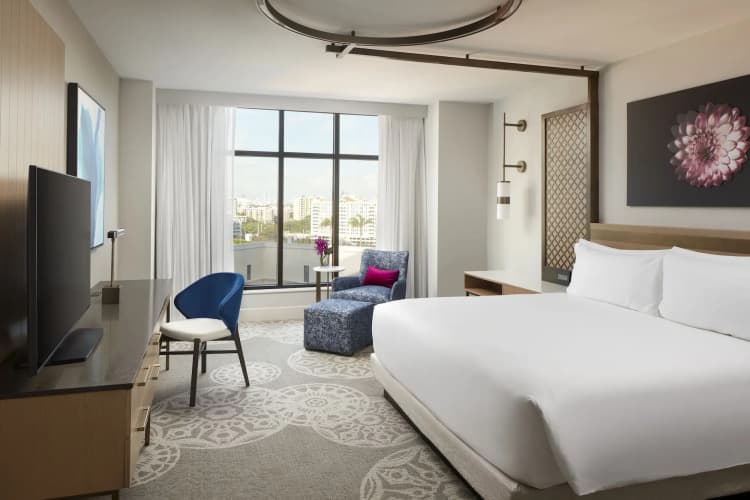 Loews Coral Gables Hotel 5