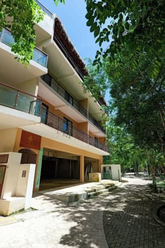 Calea Tulum main