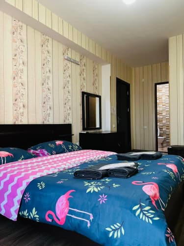 Hotel Ellegance 4