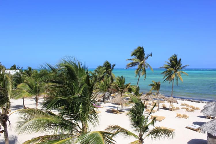 Jumbo Watamu 3