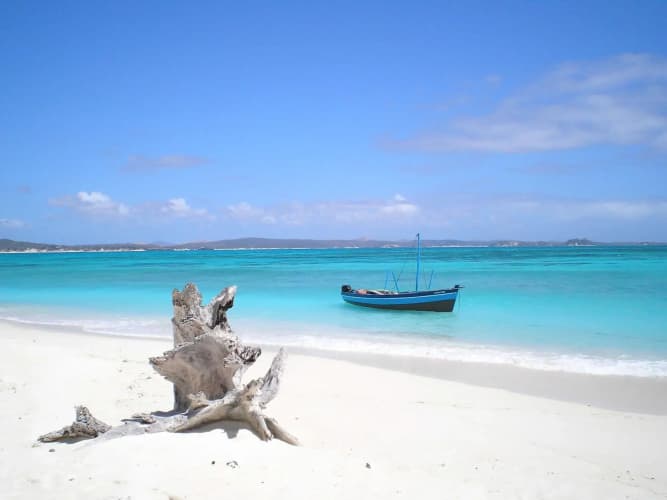 Jumbo Watamu 2