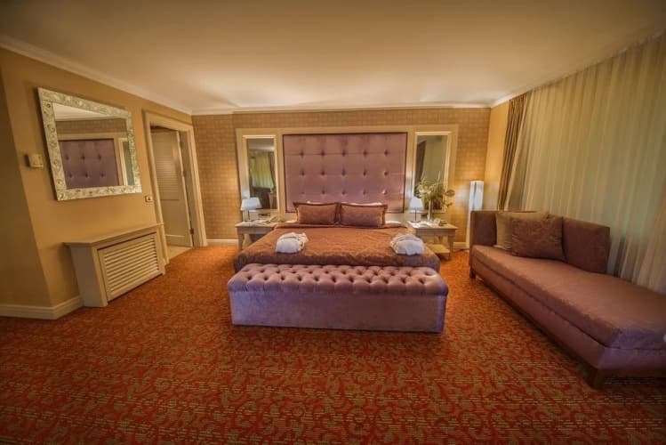 Dream Hill Business Deluxe 4