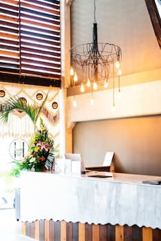 Hotel 52 Playa del Carmen 5