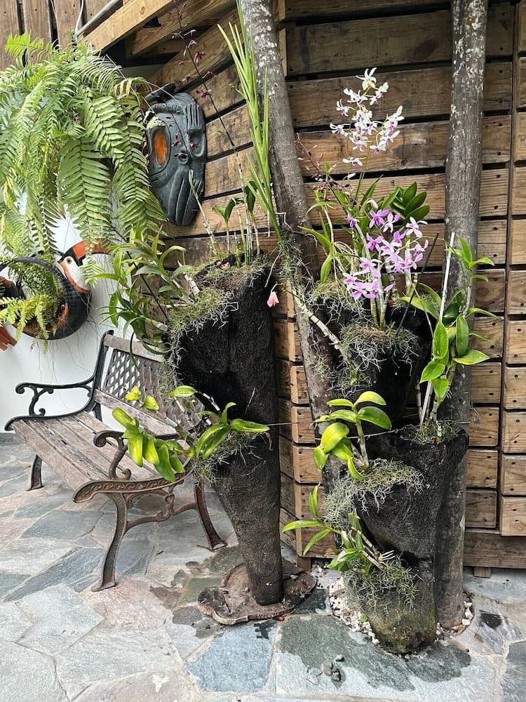 Hostal Batey 5