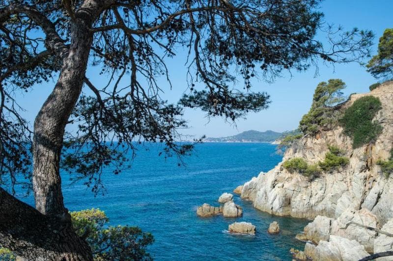 Hotel Lloret Santa Rosa 2