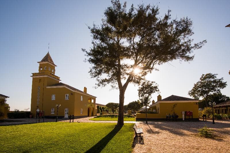 Vila Gale Albacora 5