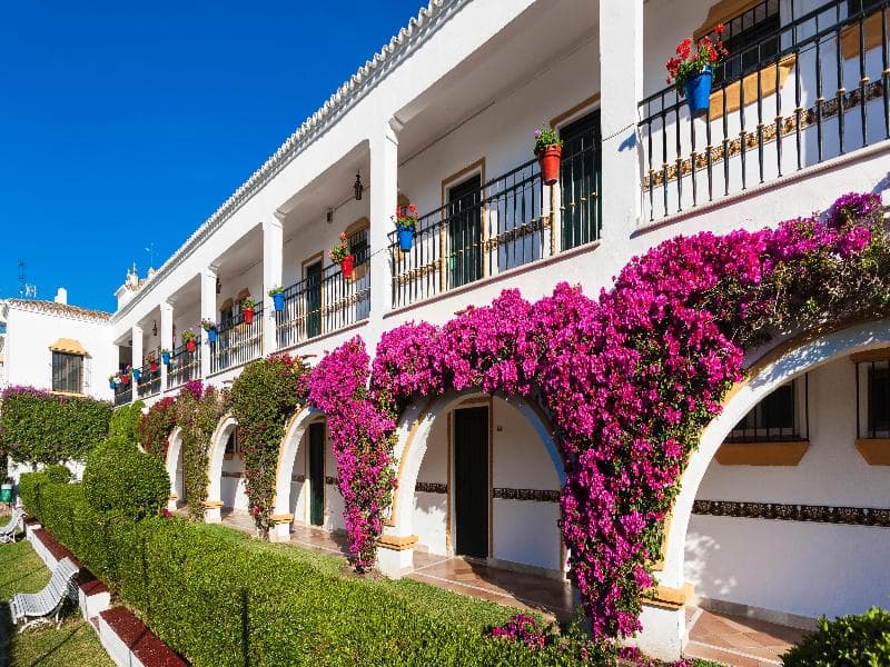 Globales Cortijo Blanco 3