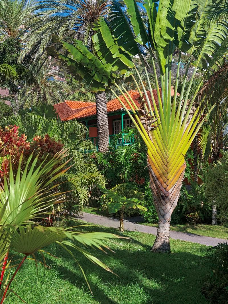 Hacienda San Jorge 4