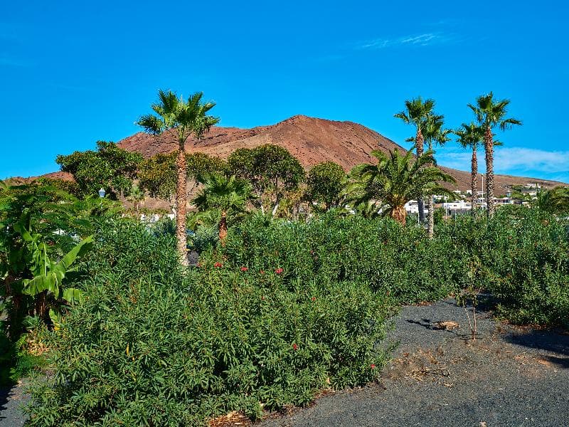 Hipotels Natura Palace - Adults Only 4