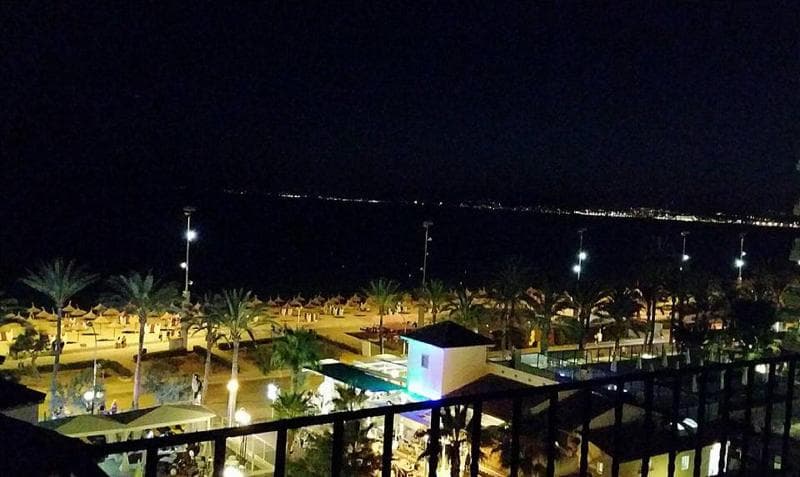 Myseahouse Flamingo 3