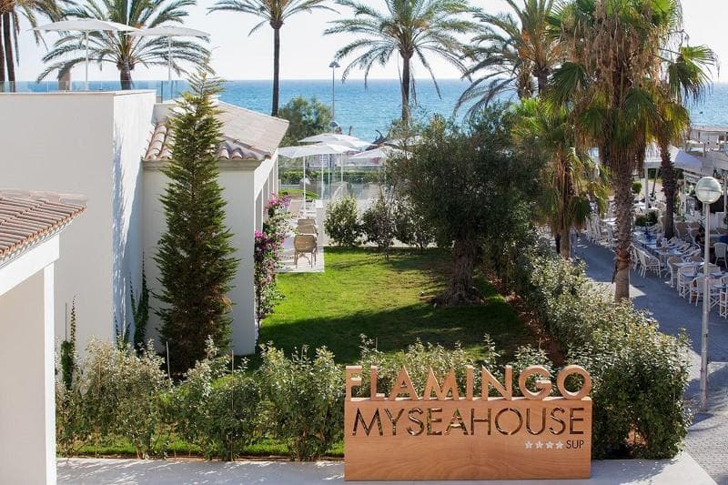 Myseahouse Flamingo 5